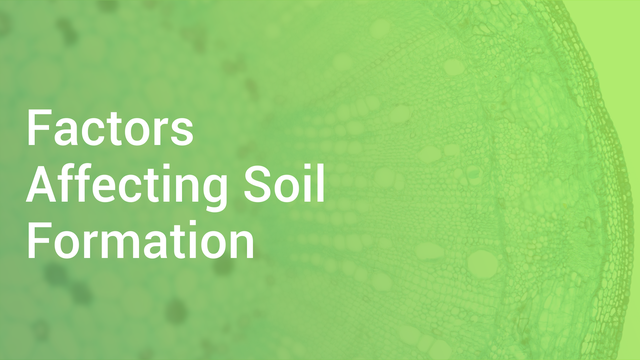 Factors Affecting Soil Formation In English Biology Video Lectures