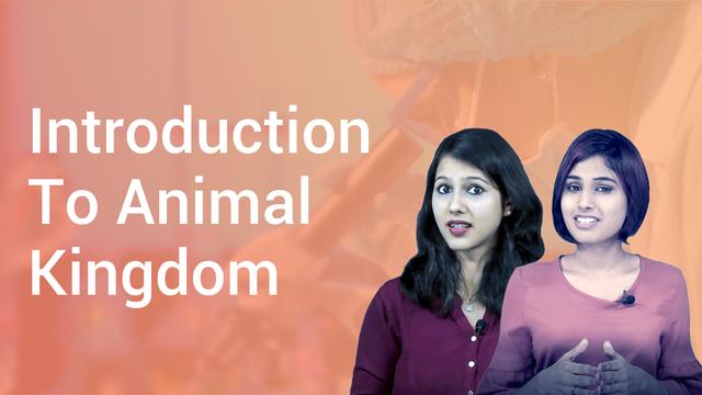 Introduction To Animal Kingdom in Hindi | Biology Video Lectures
