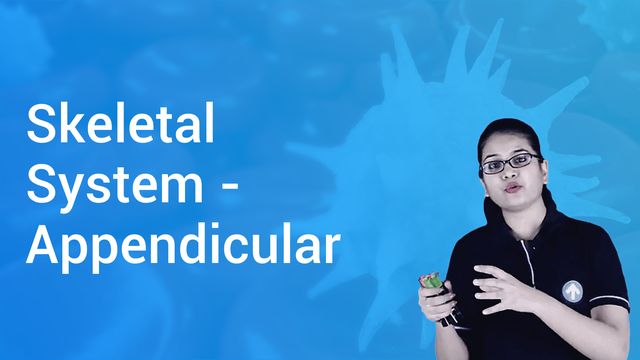 skeletal-system-appendicular-in-hindi-biology-video-lectures