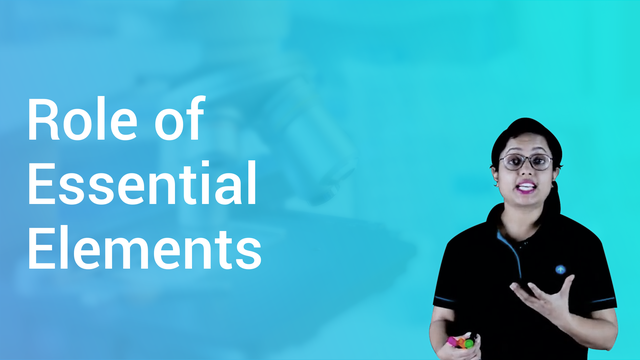 role-of-essential-elements-in-hindi