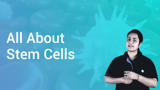 All About Stem Cells in Hindi | Biology Video Lectures