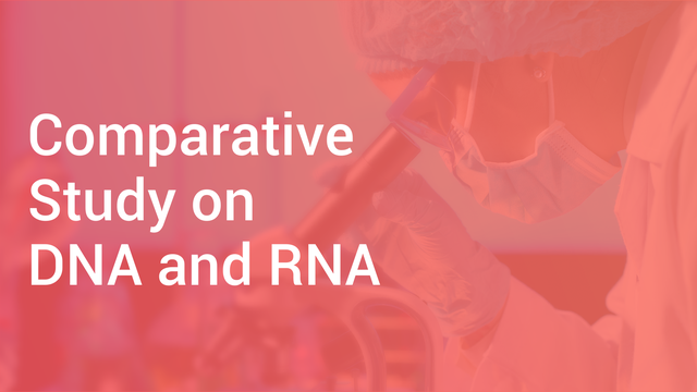 comparative-study-on-dna-and-rna-in-hindi