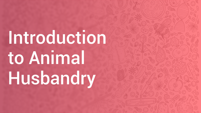 Introduction to Animal Husbandry in Hindi | Economics and Biology Video  Lectures