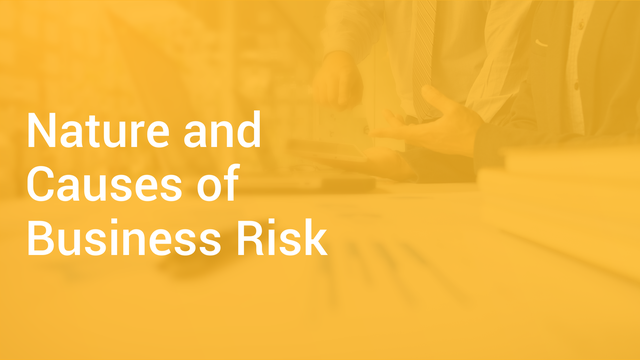 nature-and-causes-of-business-risk-in-english-business-studies-video