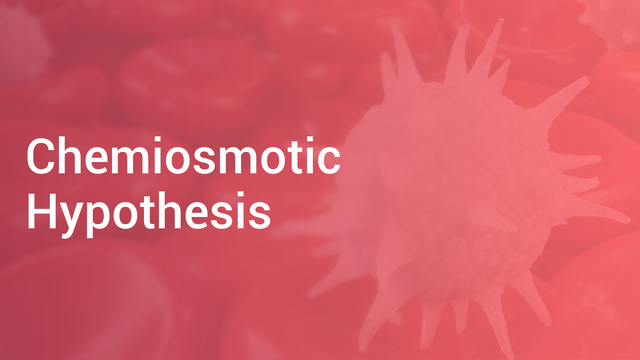 chemiosmotic hypothesis in english meaning