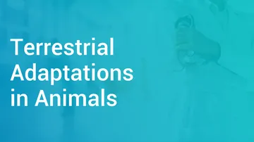 Terrestrial Adaptations in Animals in Hindi | Biology Video Lectures