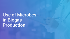 Use of Microbes in Biogas Production