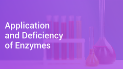 Application and Deficiency of Enzymes