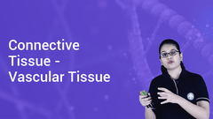 Connective Tissue | Definition, Examples, Diagrams