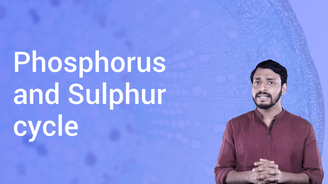 phosphorus-and-sulphur-cycle-in-hindi-biology-video-lectures