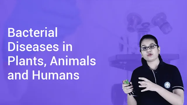Bacterial Diseases in Plants, Animals and Humans in English | Biology Video  Lectures