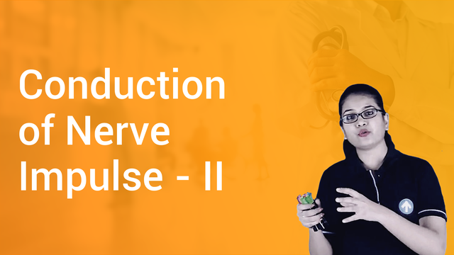 Conduction of Nerve Impulse - II in English | Biology Video Lectures