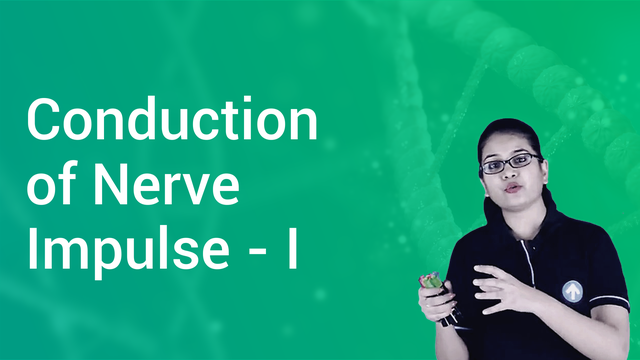 Conduction of Nerve Impulse - I in English | Biology Video Lectures