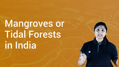 Mangroves or Tidal Forests in India