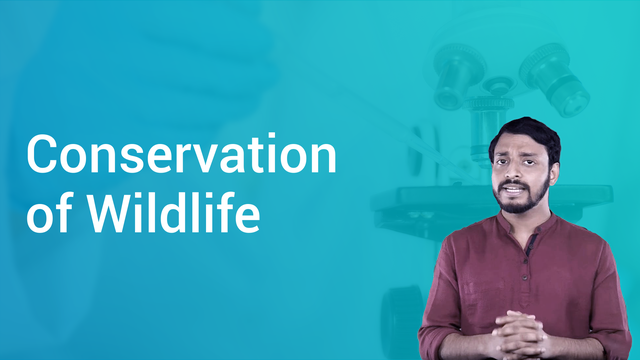 conservation-of-wildlife-in-english-biology-video-lectures