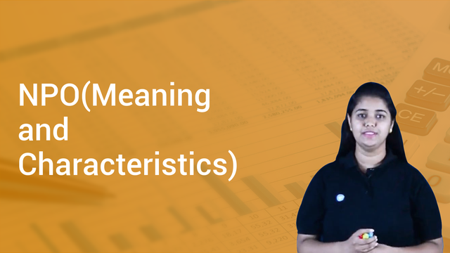 npo-meaning-and-characteristics-in-english-accountancy-video-lectures