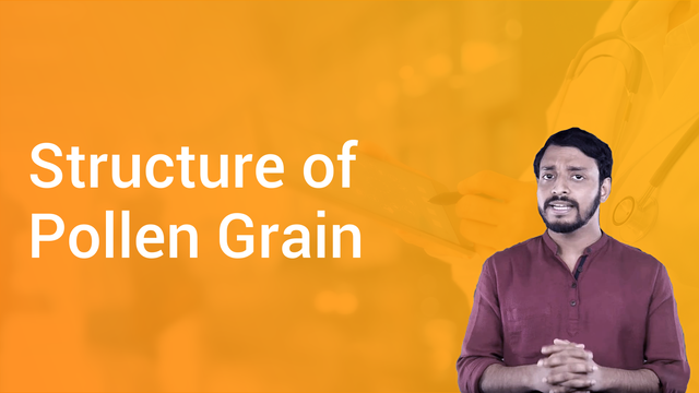 structure-of-pollen-grain-in-hindi-biology-video-lectures