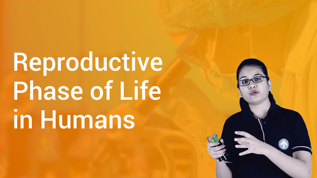 Reproductive Phase Of Life In Humans In English Biology Video Lectures