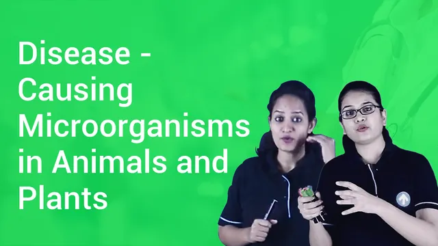 Disease - Causing Microorganisms in Animals and Plants in English | Biology  Video Lectures